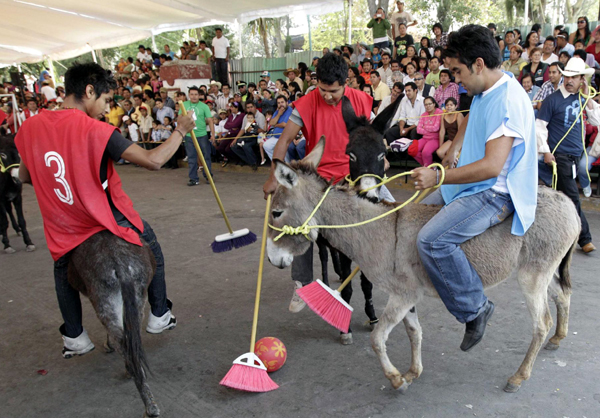 Donkey festival celebrated in Mexico