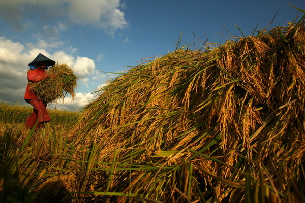 Snapshots: the world in 24 hours May 7, 2011