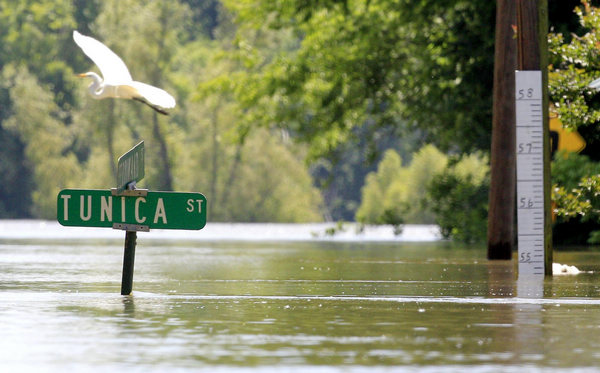 Flood hinders shipping on the Mississippi River