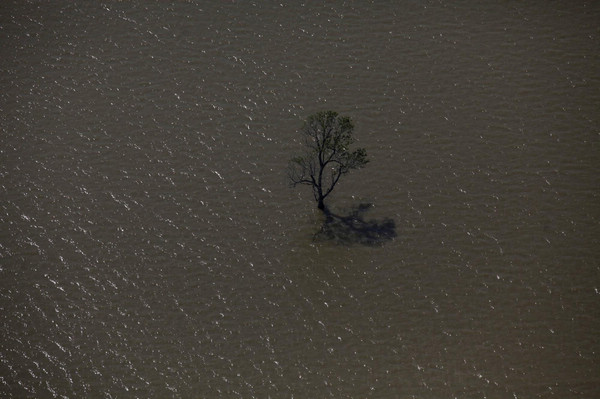 Flood hinders shipping on the Mississippi River