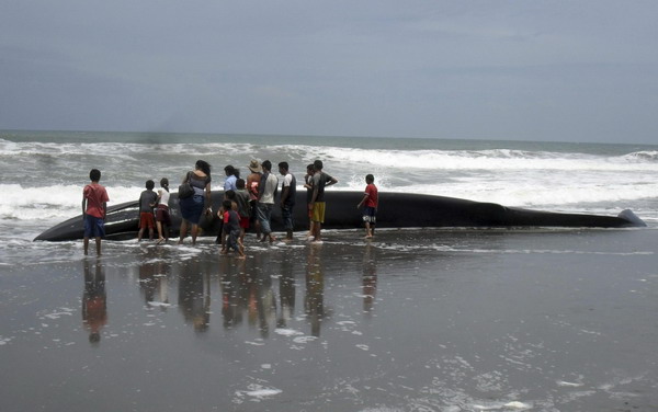 Snapshots: the world in 24 hours, July 5