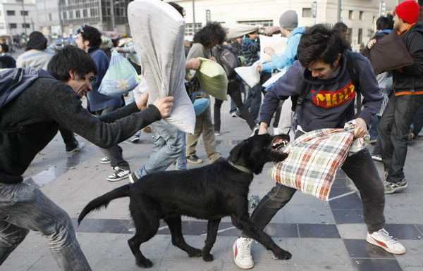 Pillow fight for a best education