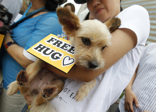 Seoul activists: Dogs are friends, not food