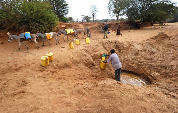 Savage drought grips Africa