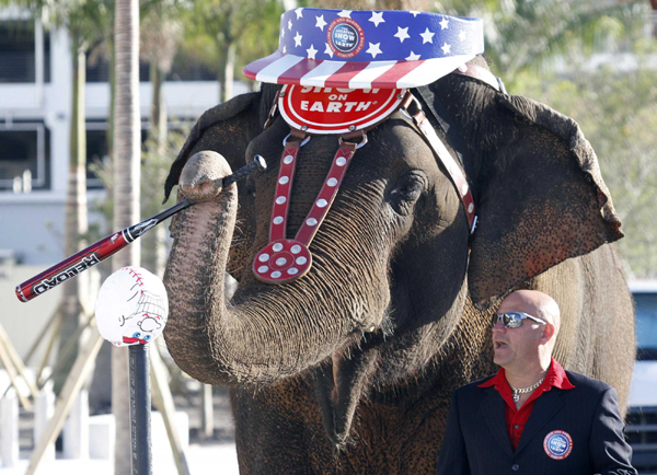 Elephant baseball player