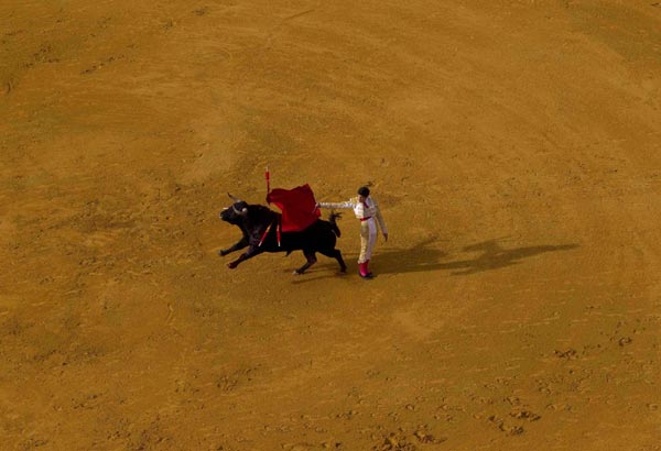 Spanish bullfighting raises dispute