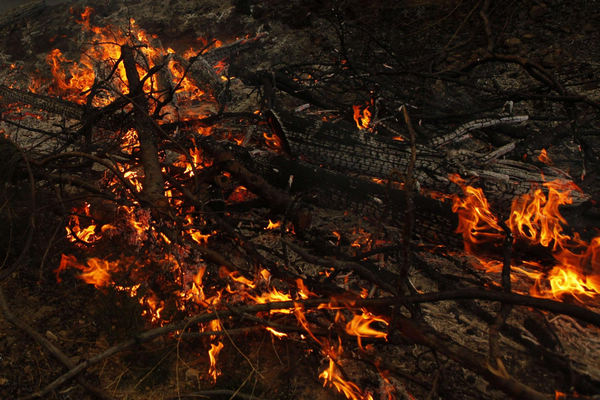 Fire burns Angeles National Forest in US