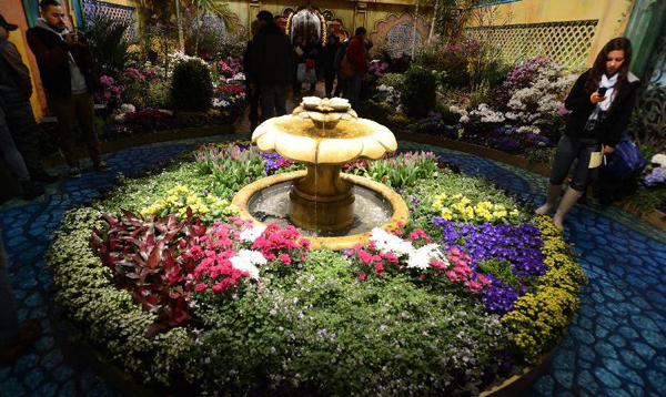 Macy's Flower Show 2013