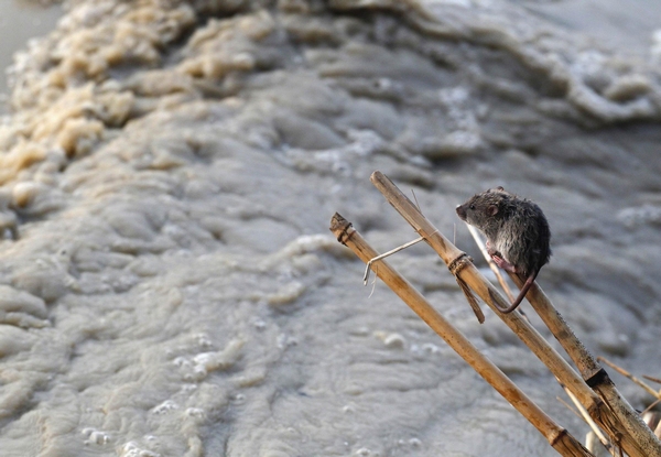 Floods hit New Delhi