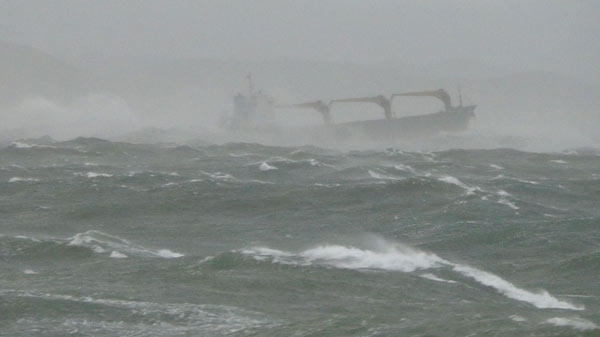 10 die as ship sinks off ROK, including Chinese