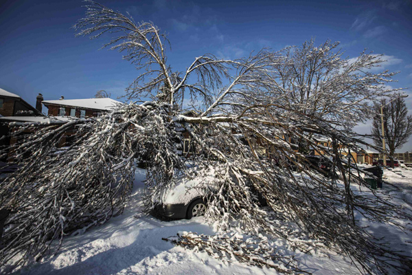 Ice storm leaves many without power in US, Canada