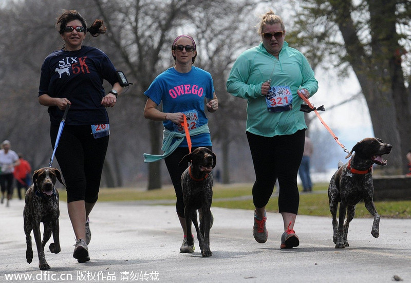 Runners and their 4-legged friends race in New York