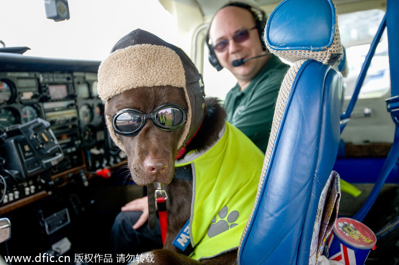 Captain Callie earns her wings