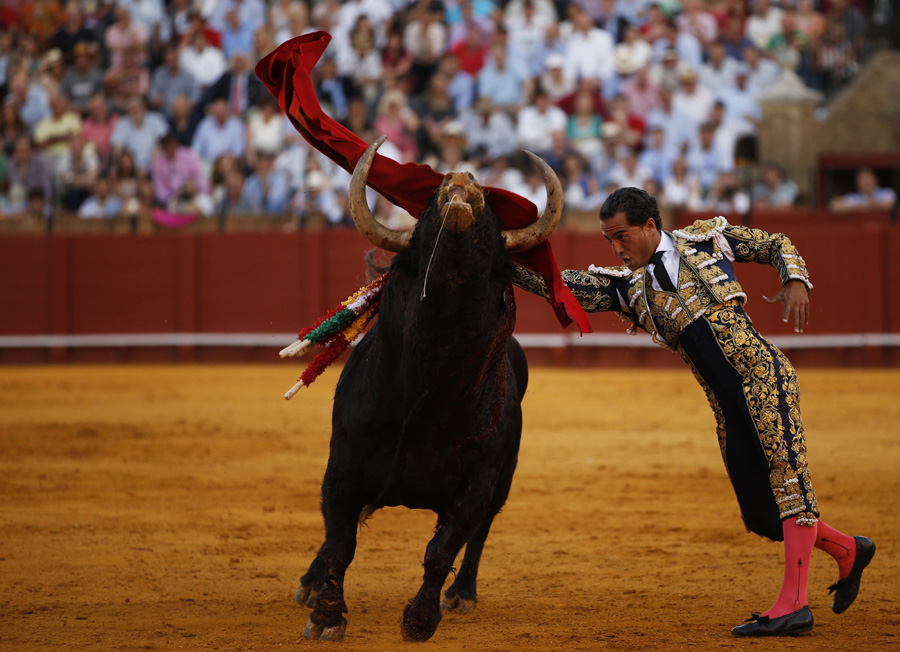 Matadors perform in southern Spain