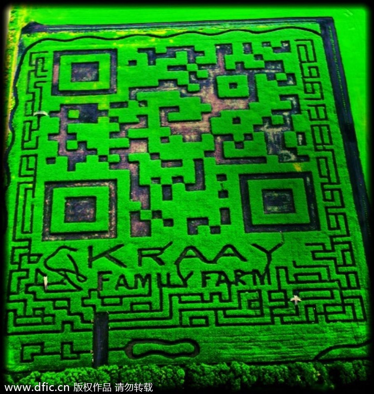 World now filled with QR code