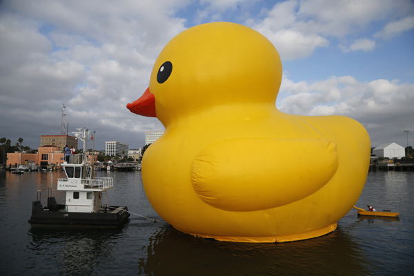 Rubber duck traveling to Los Angeles