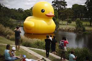 Rubber duck traveling to Los Angeles