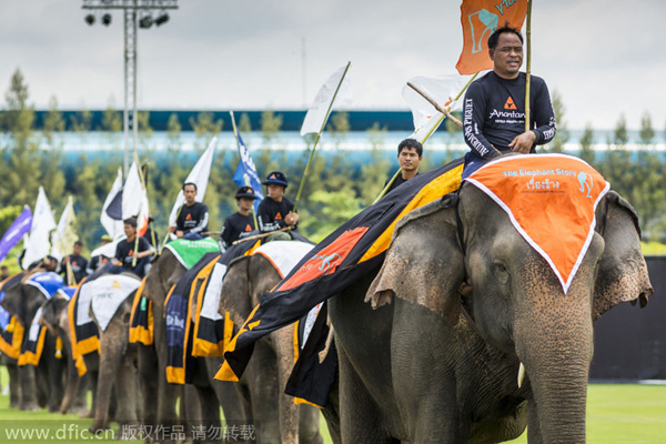 Annual elephant polo tournament kicks off in Thailand