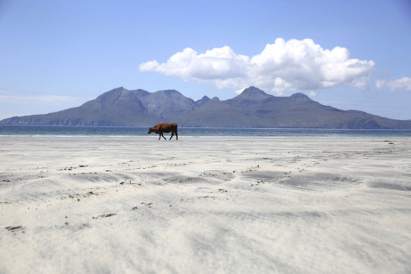 Scottish support for independence slips a week before vote