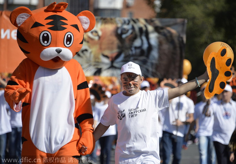 Russia celebrates Tiger Day