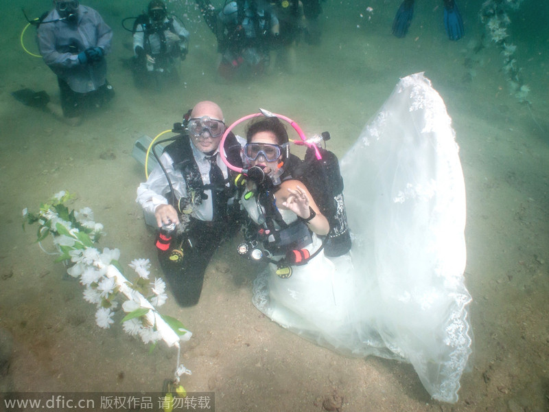 Wonderful underwater world