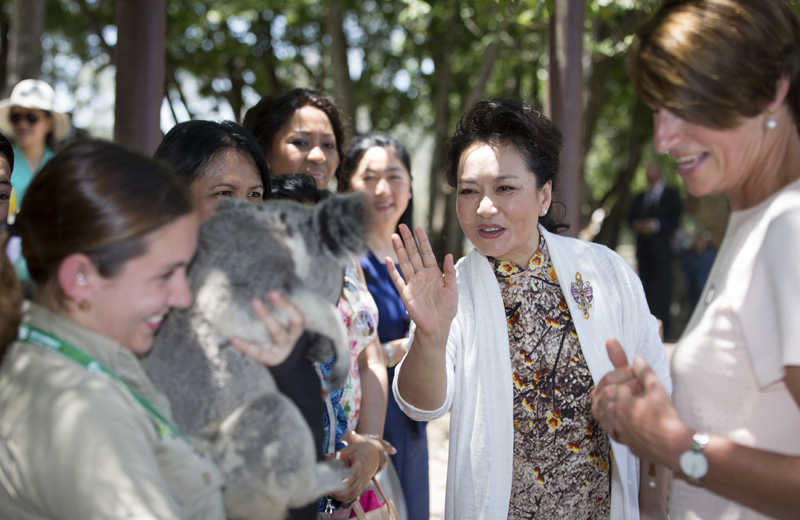 First ladies cuddle up to koalas