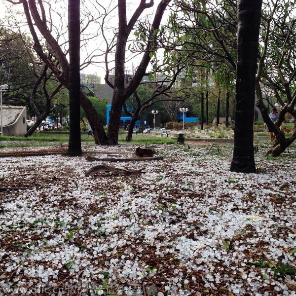 Storm cuts power, lifts roofs in Brisbane