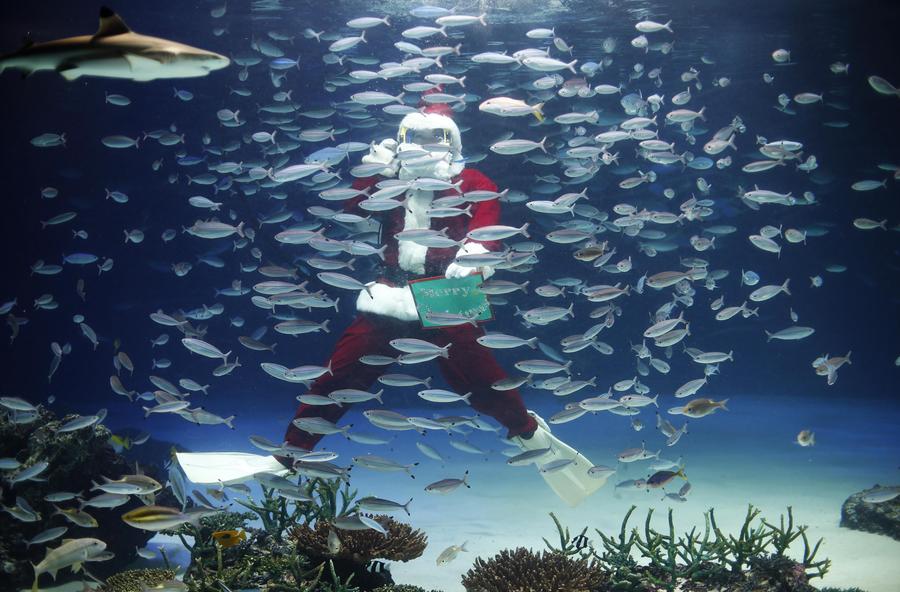 Underwater Santas make a splash in Tokyo