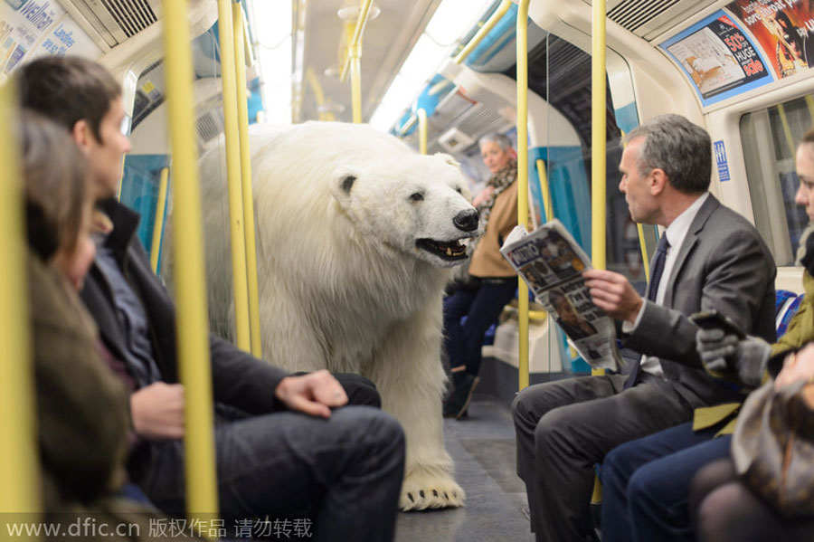 'Polar bear' roams in London, but don't panic