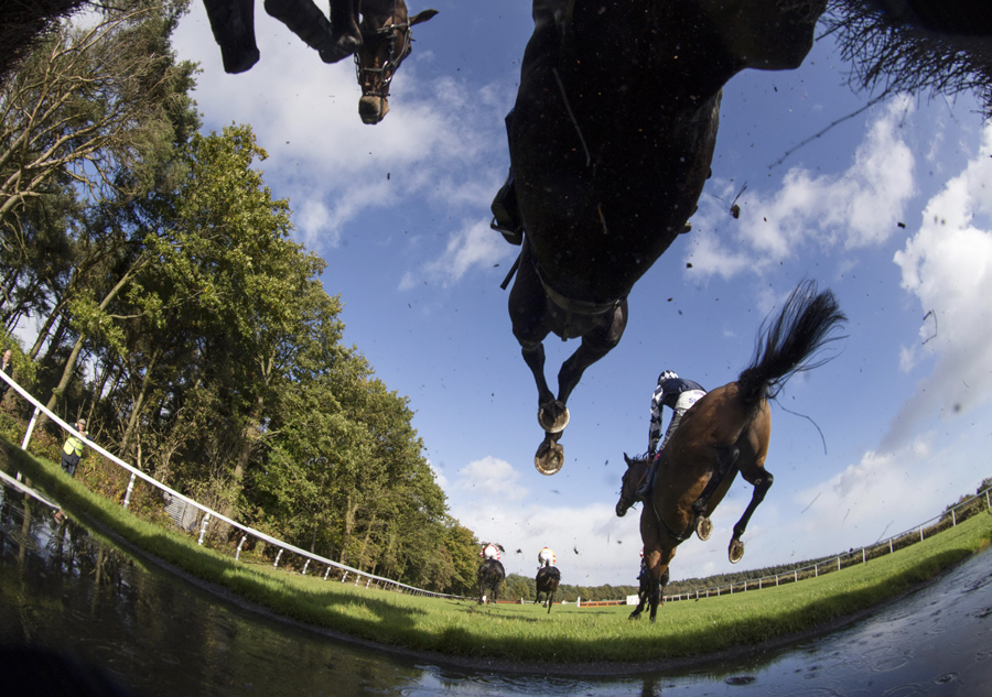 Press photo competition winners announced