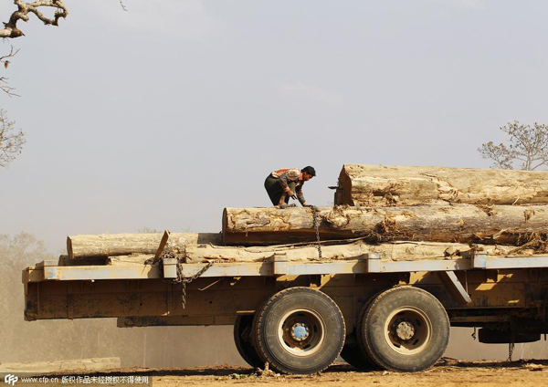 Myanmar grants amnesty to 6,966 prisoners including Chinese loggers