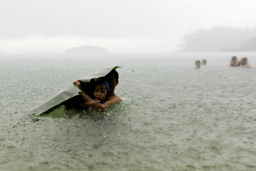 Reuters images of the year - the natural world