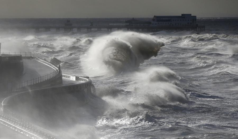 Reuters images of the year - the natural world