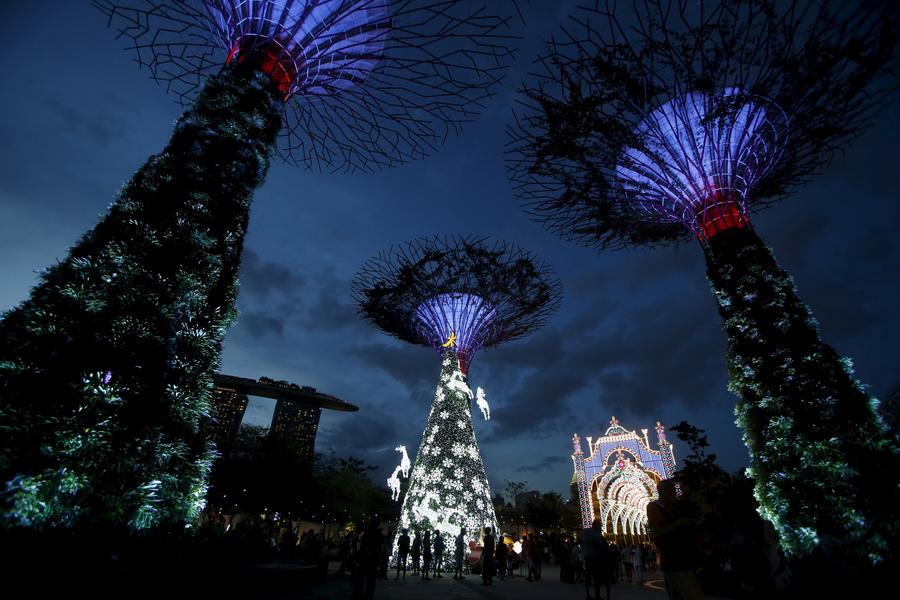 Christmas trees around the world