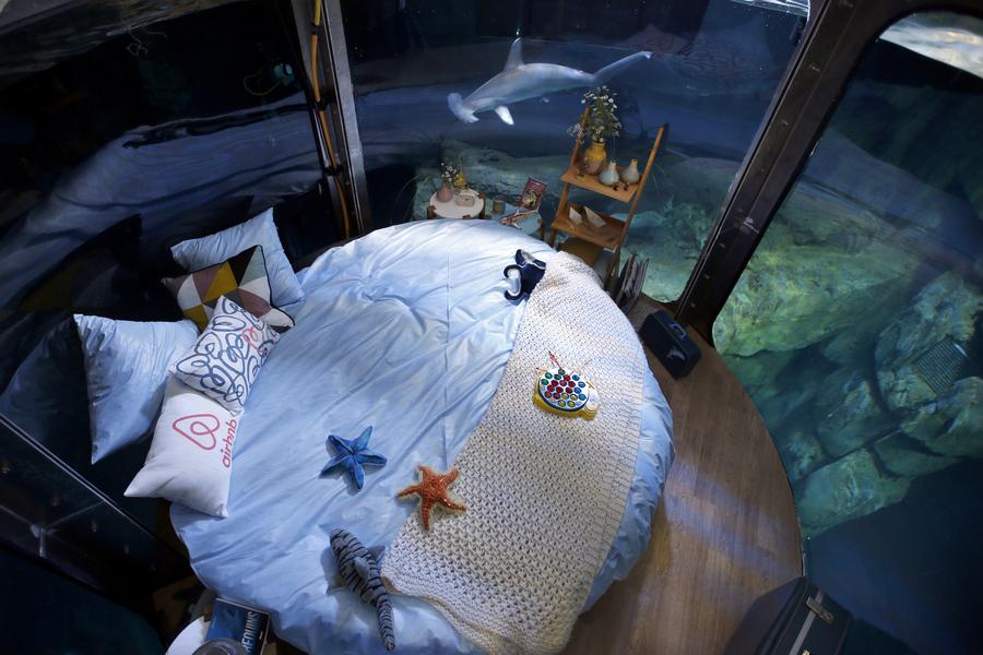 Sleep tight and don't let sharks bite at Paris aquarium