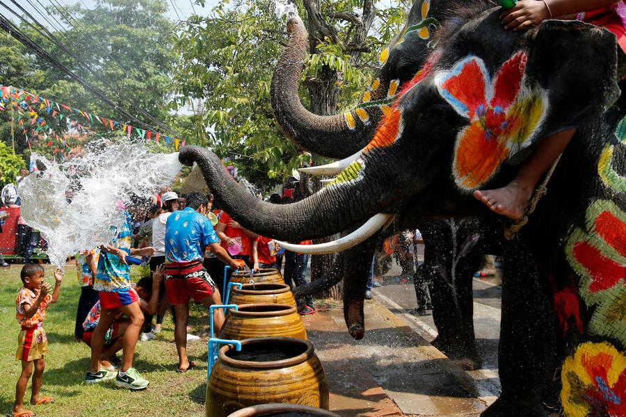 Water fight with elephants in Thailand