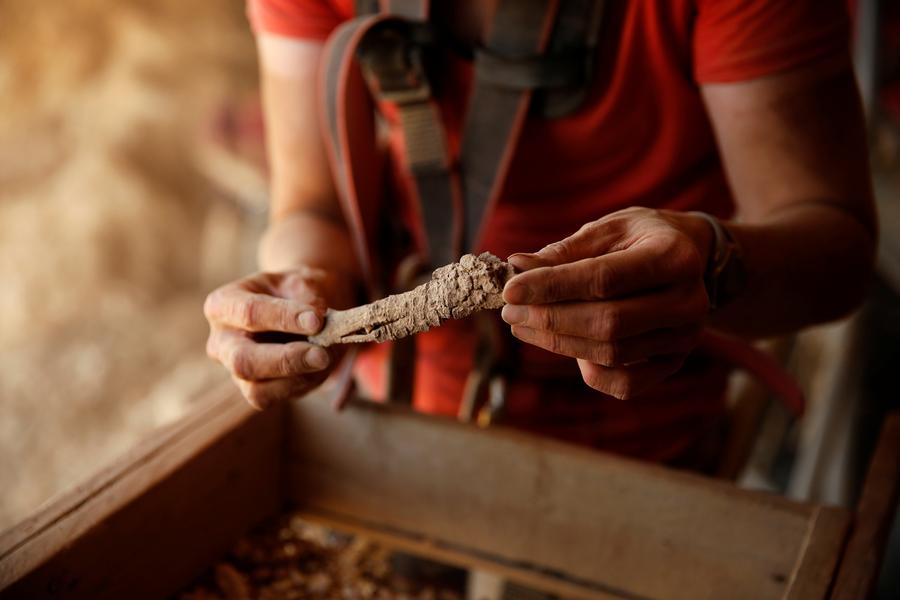 Searching for remains of Dead Sea Scrolls