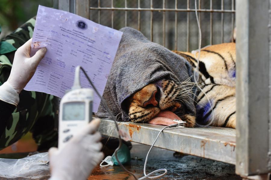 The world's most striking images: May 30 - June 5