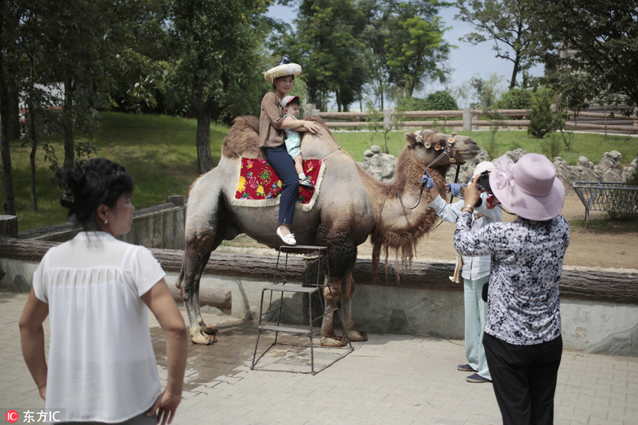 DPRK's renovated central zoo attracts thousands of visitors every day