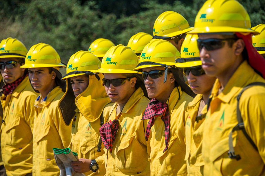 Chile battles devastating wildfires as international help pours in