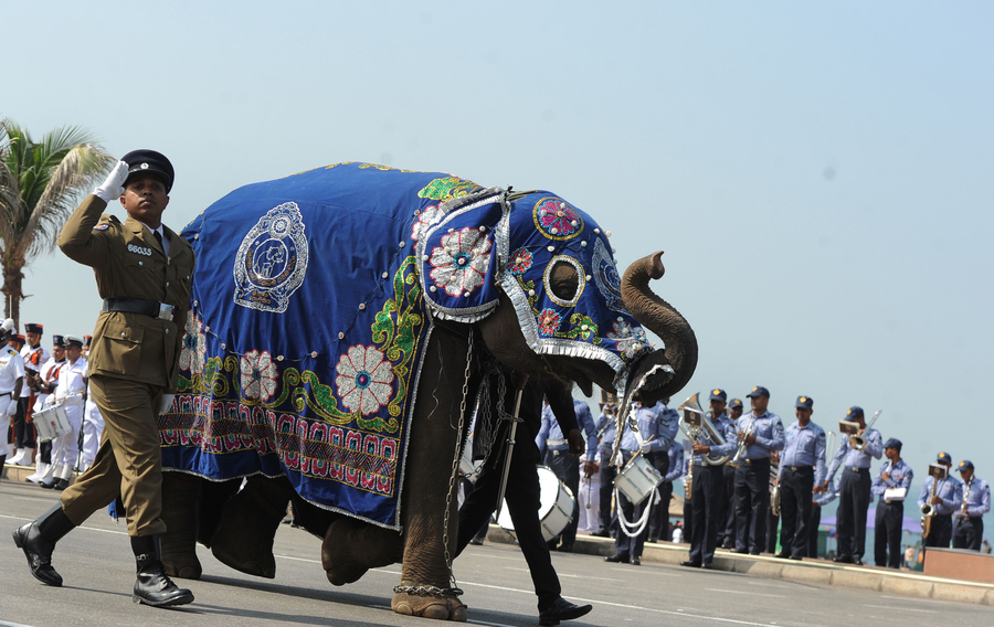 The world in photos: Jan 29 - Feb 5