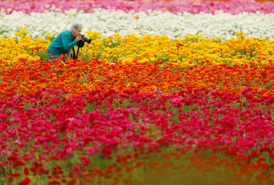 The world in photos: Mar 20 - Mar 26