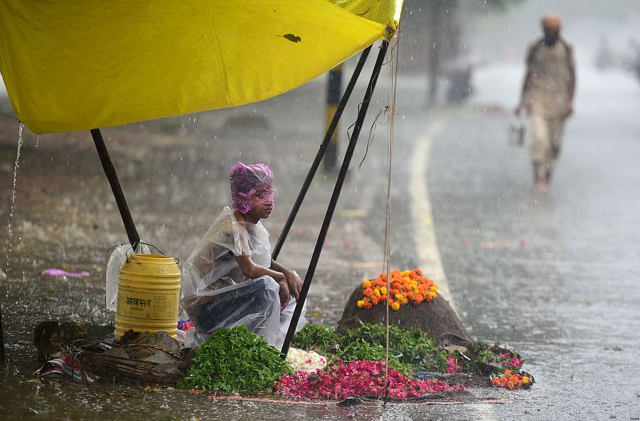 The world in photos: July 10-16