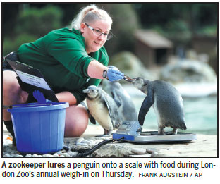 London Zoo gets creative for its annual weigh-in