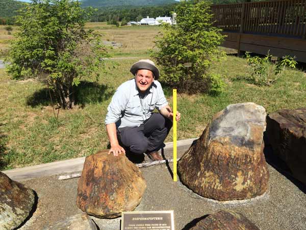 Fossil find in China reveals how first trees ripped themselves apart to grow