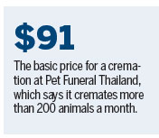 101 cremations: the rise of Bangkok's Buddhist pet funerals