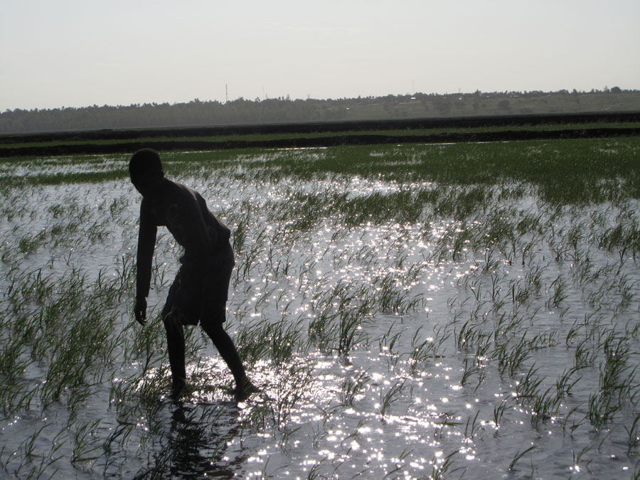 A glance at Mozambique