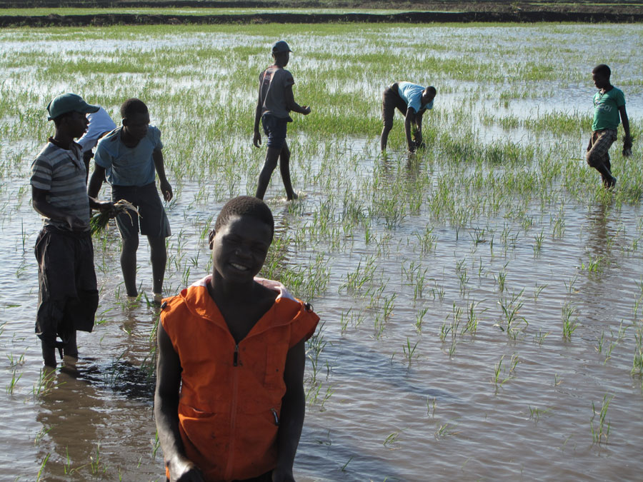 A glance at Mozambique