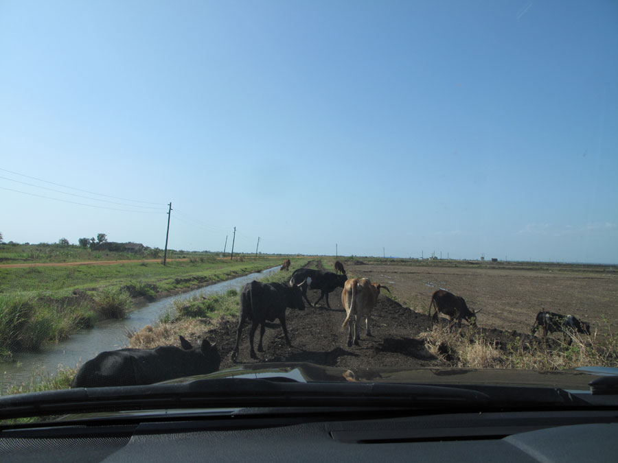 A glance at Mozambique