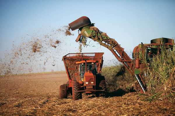 Sugar production, consumption still up and down